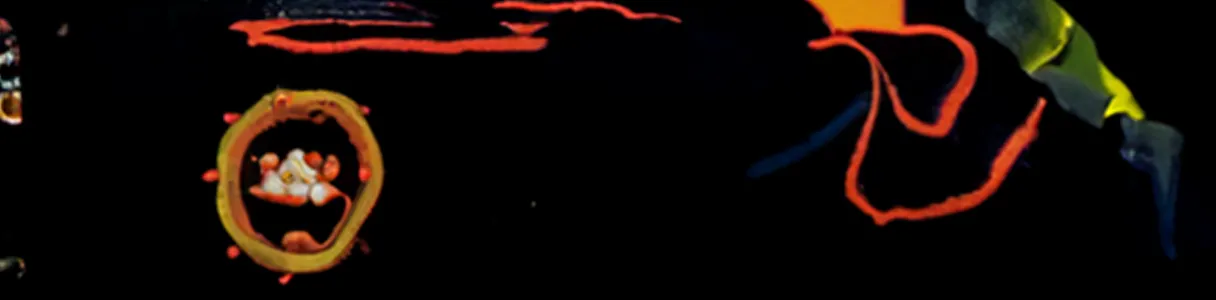 Kyle Petty's No Fear Racing