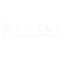Focus Entertainment