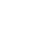 Brush