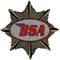 BSA