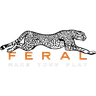 Feral Interactive